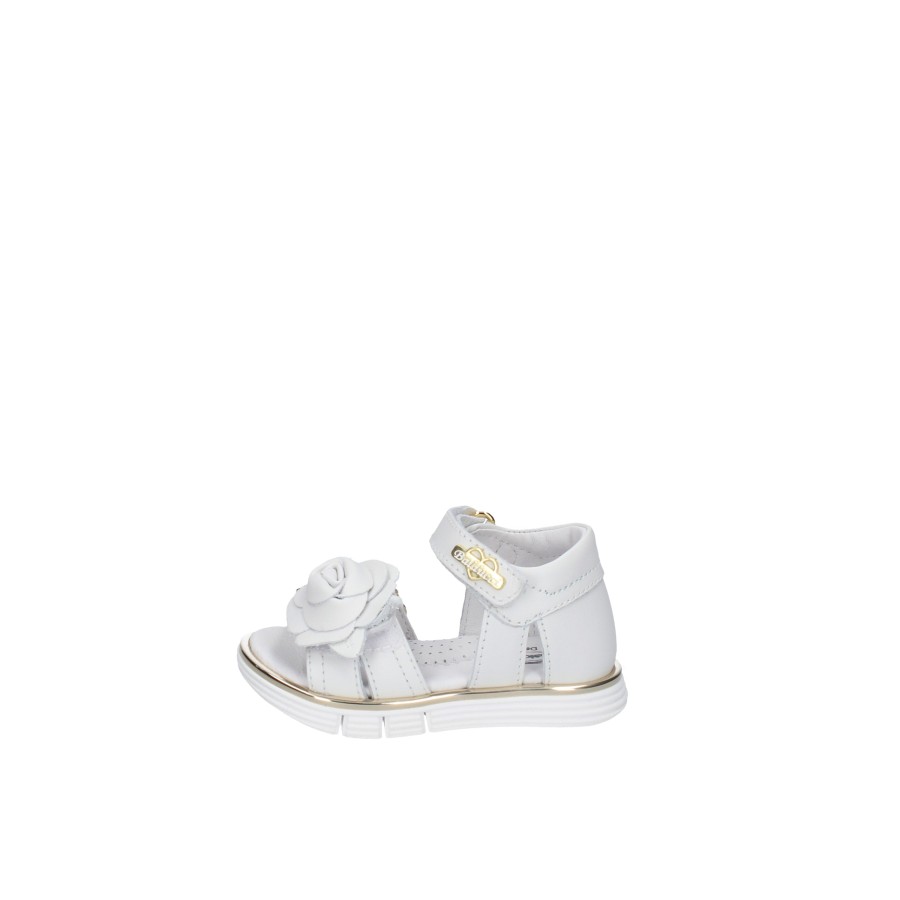 Balducci Balducci Sandals Cit5302 Online